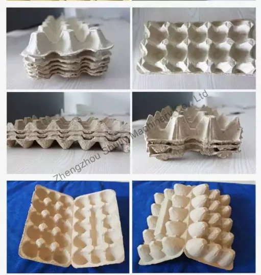 egg trays and cartons