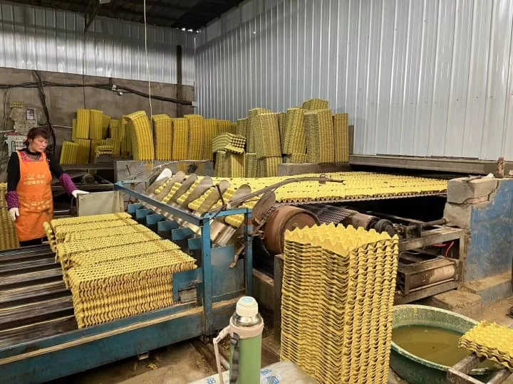 egg tray production process